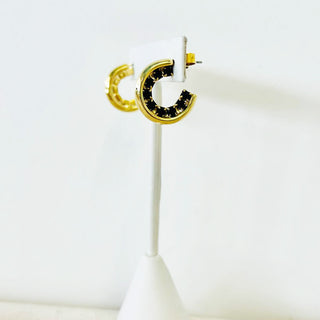 Mini Landi Earrings in Montana